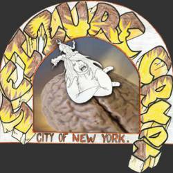 Seizure Crypt : City of New York